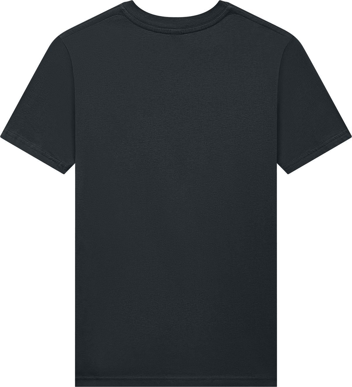 Jersey T-shirt — Rust (Earth Positive® EP01)